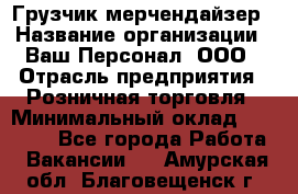 Грузчик-мерчендайзер › Название организации ­ Ваш Персонал, ООО › Отрасль предприятия ­ Розничная торговля › Минимальный оклад ­ 12 000 - Все города Работа » Вакансии   . Амурская обл.,Благовещенск г.